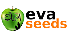 Eva Seeds семена конопли