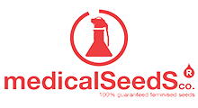 Medical Seeds семена конопли