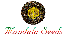 Mandala Seeds семена конопли