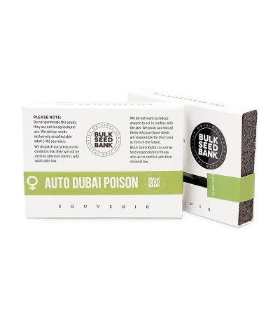 Сорт Auto Dubai Poison fem