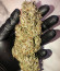 Сорт Original Blackberry auto fem (FastBuds)