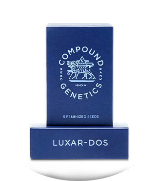 Luxar-Dos fem (Compound Genetics)